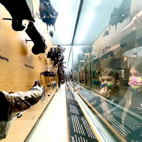 37bd3f_0fee1fd1e1074c0d9f50409a95c339f2_mv2