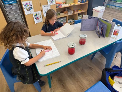 The components of blood